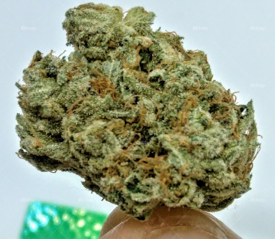 How does that taste?