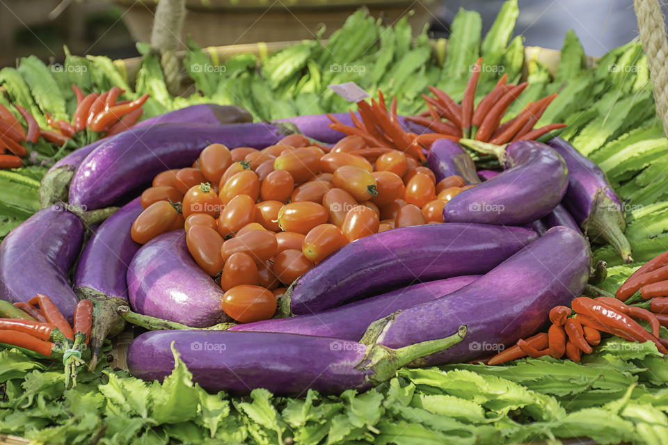 Tomato , eggplant purple , Winged Bean and red chilli The native vegetation of Thailand