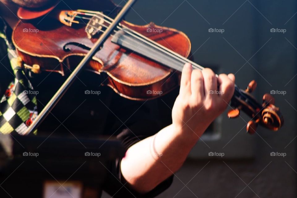 Violin