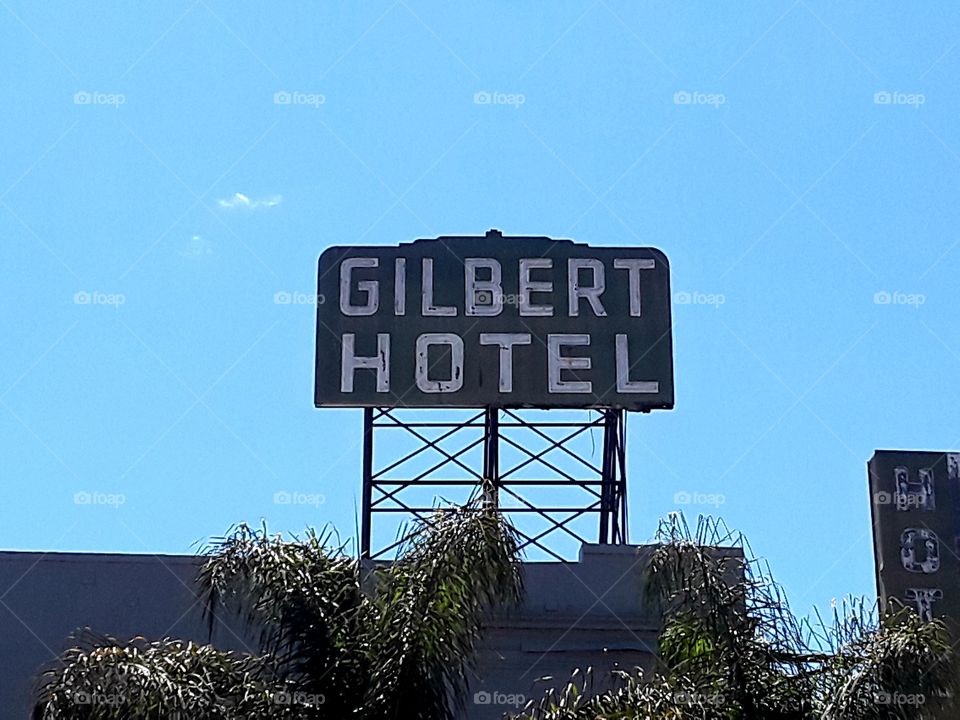 Gilbert.