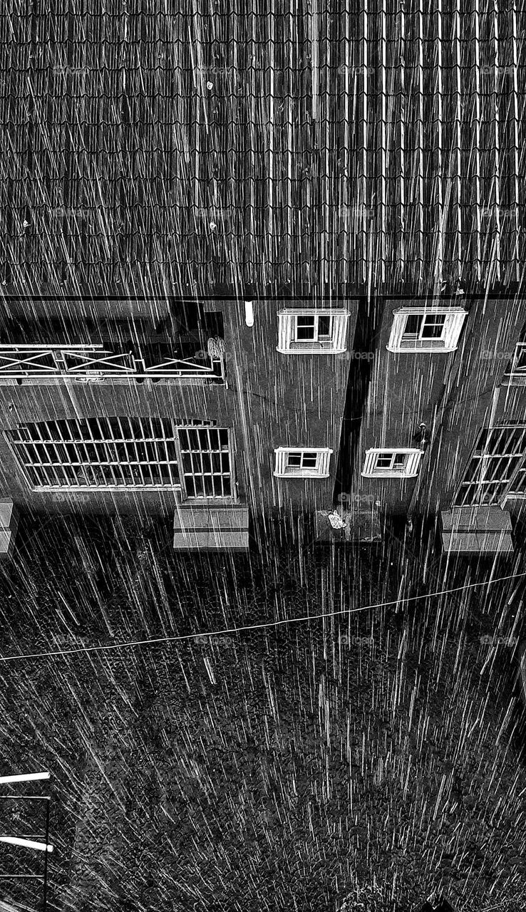 rain. liquid. droplets. black and white. water.