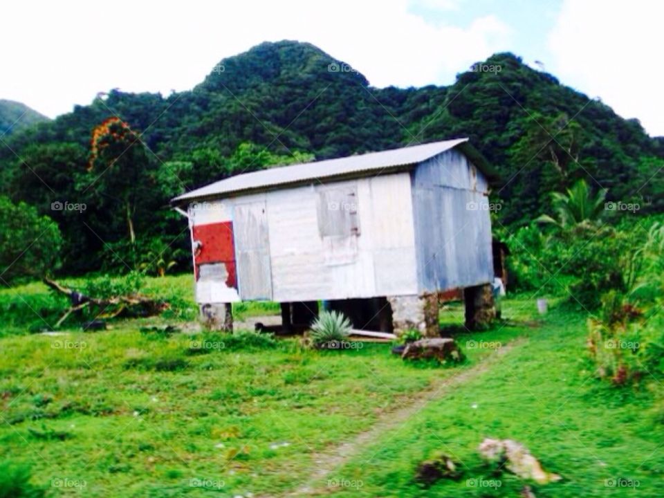 Building . Dominica 