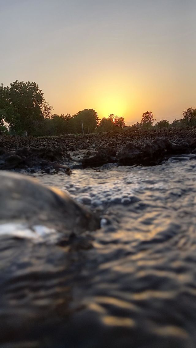 Fabulous River seen . And amazing sunset scenery.