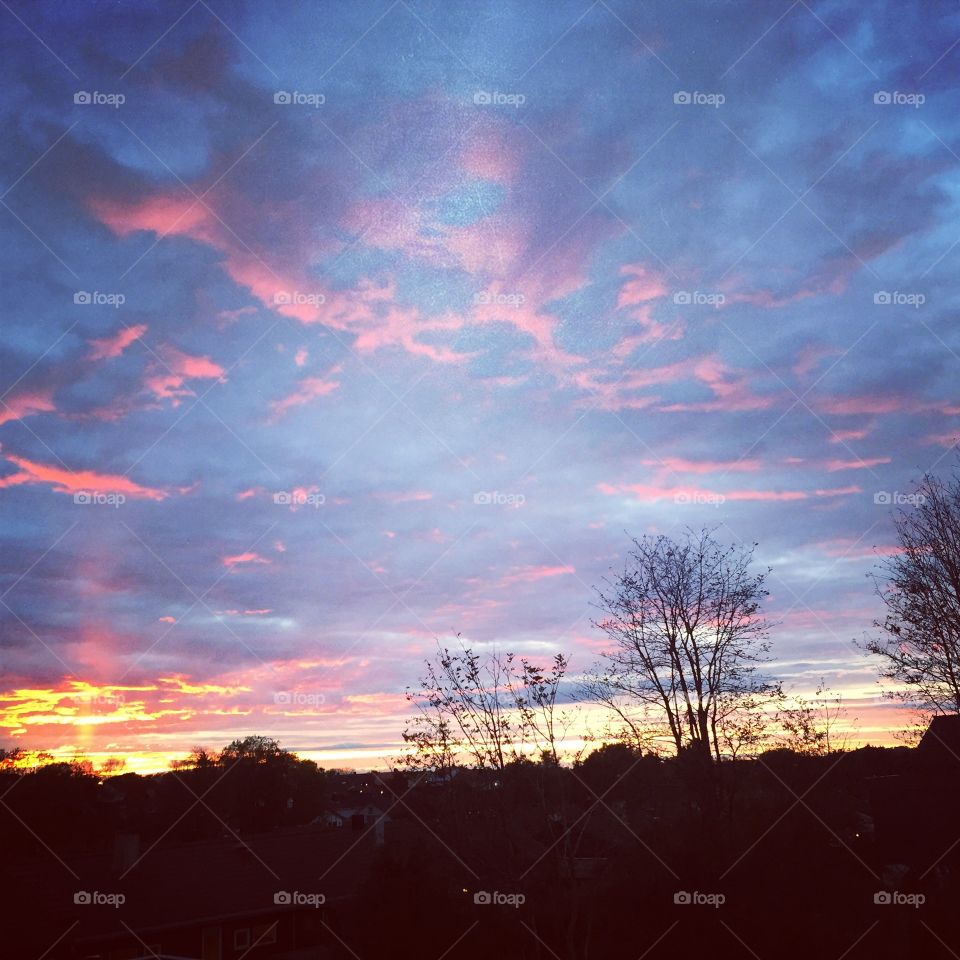 Dramatic sky and trees