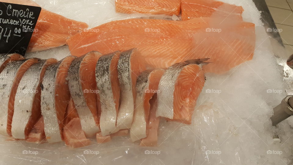 salmon