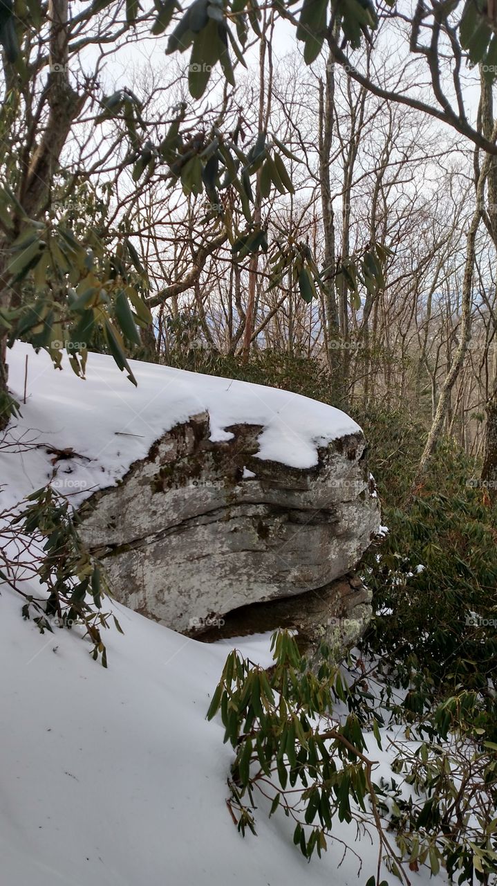 winter rock ledge