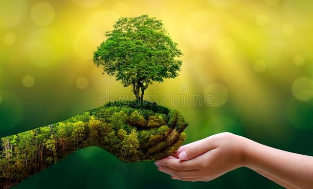 Nature
