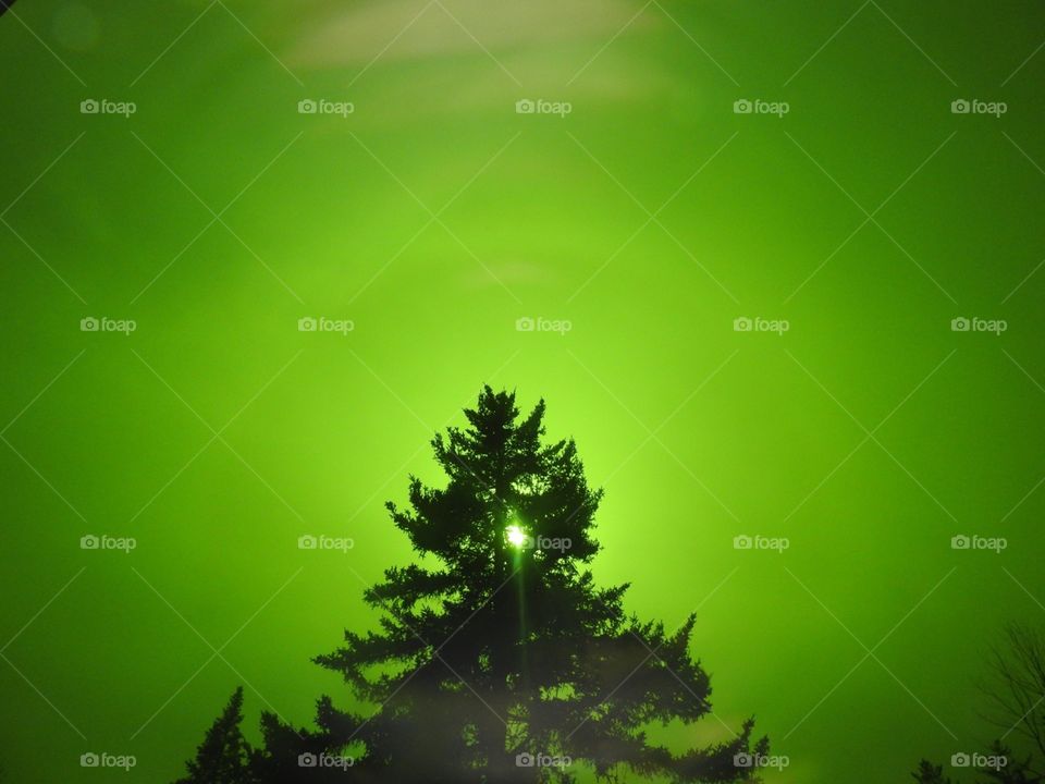Green Screen Halo