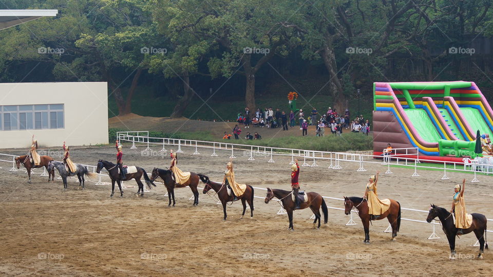 Equestrian performances 馬術表演