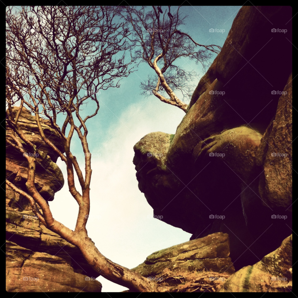 tree rocks by kayeg82