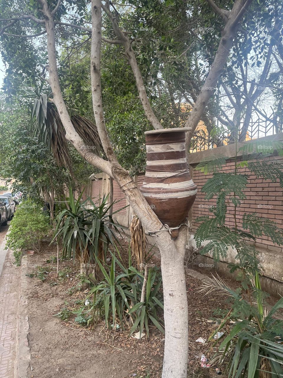 Water Conical Clay Jar