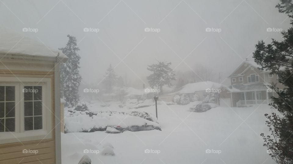 Snow, Winter, Cold, Frost, Frozen