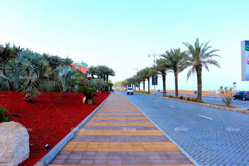 street with coco treet