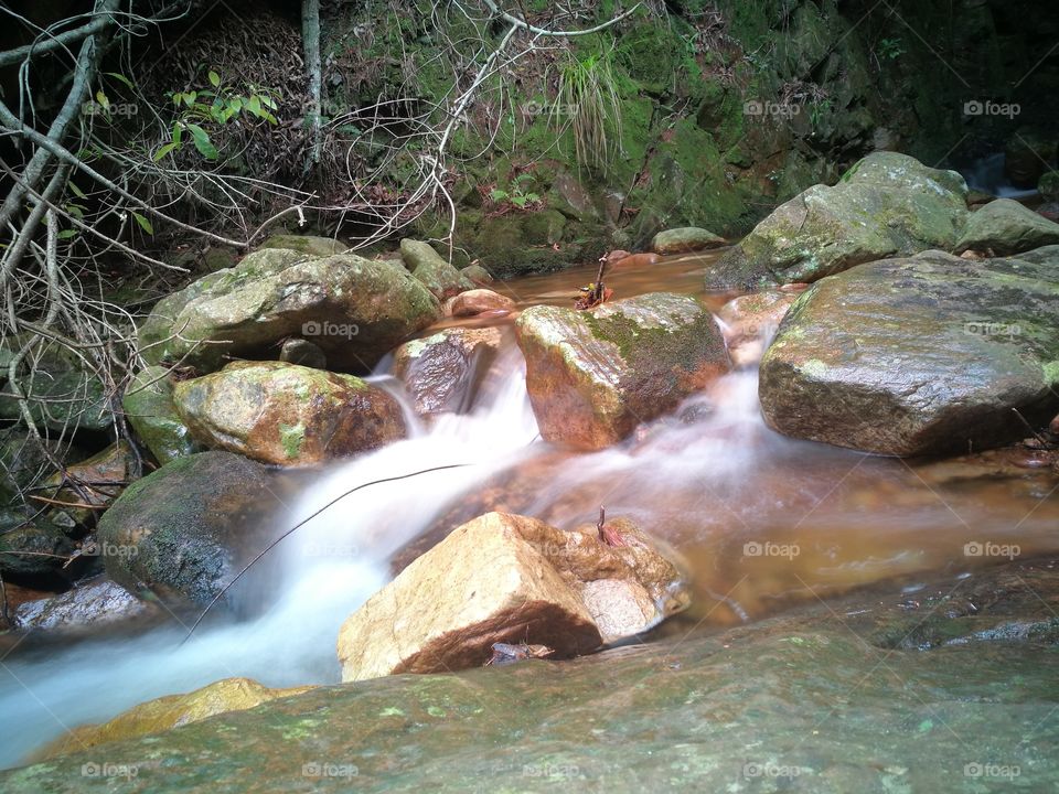 River in Newlands Forest Cape Town.