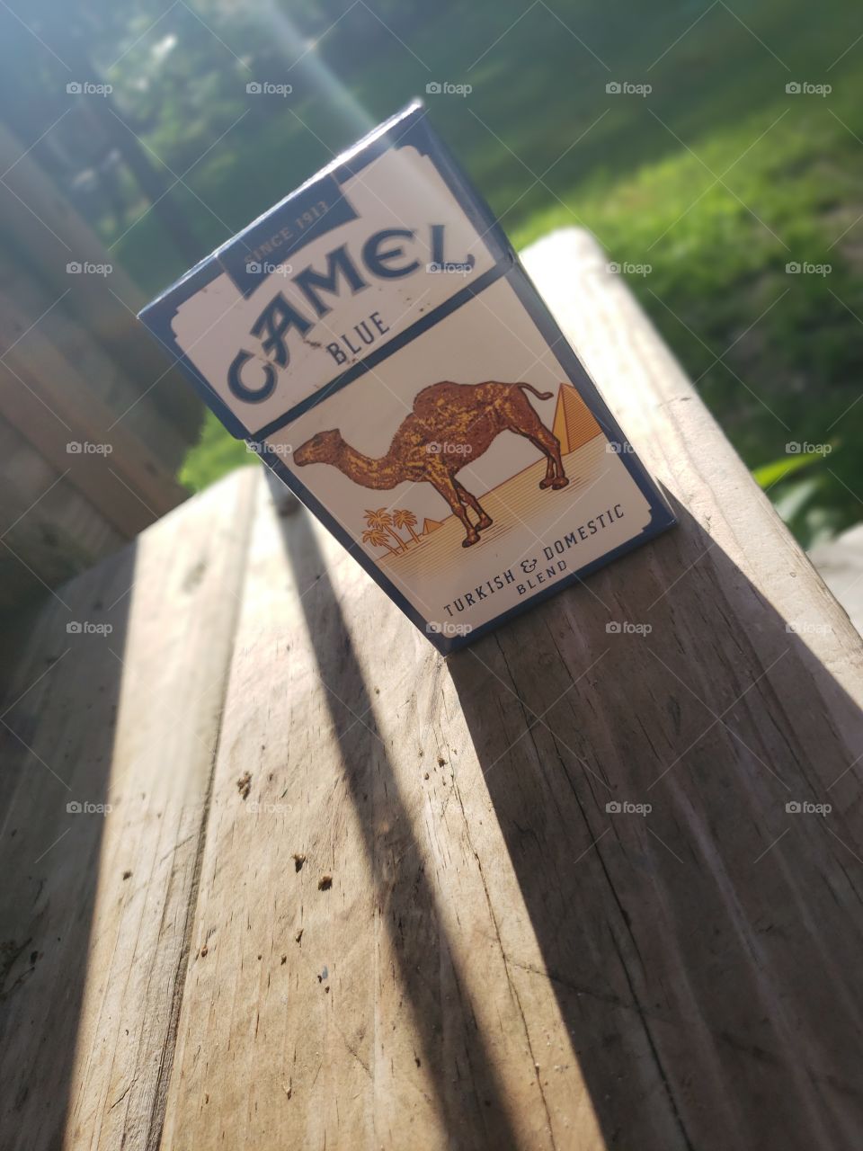 Camel Blue Mornings!