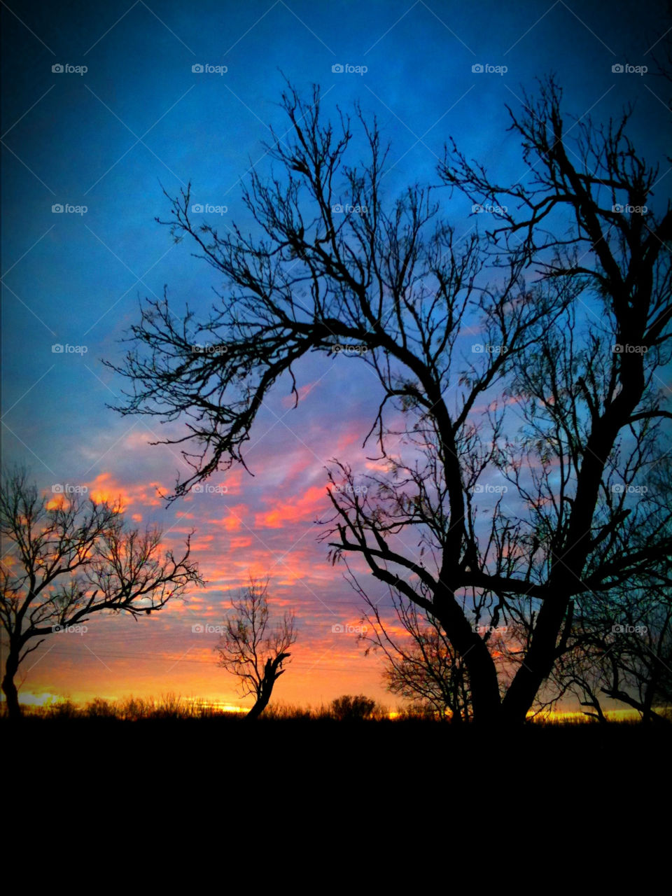 beautiful Texas landscape