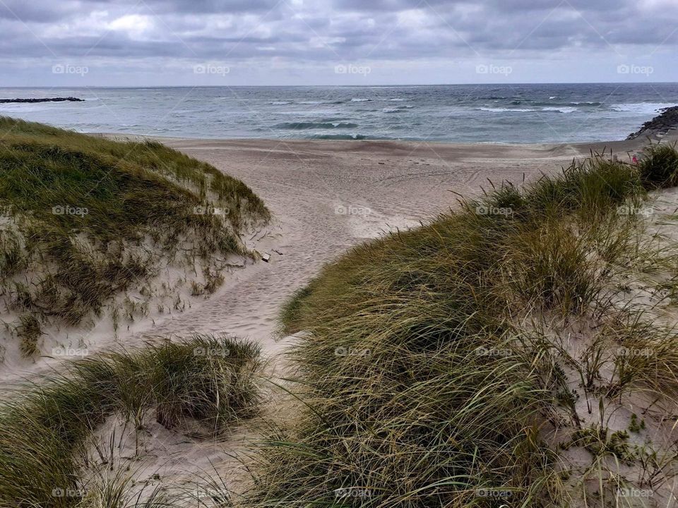 traces of a windy climate - landscape Jutland