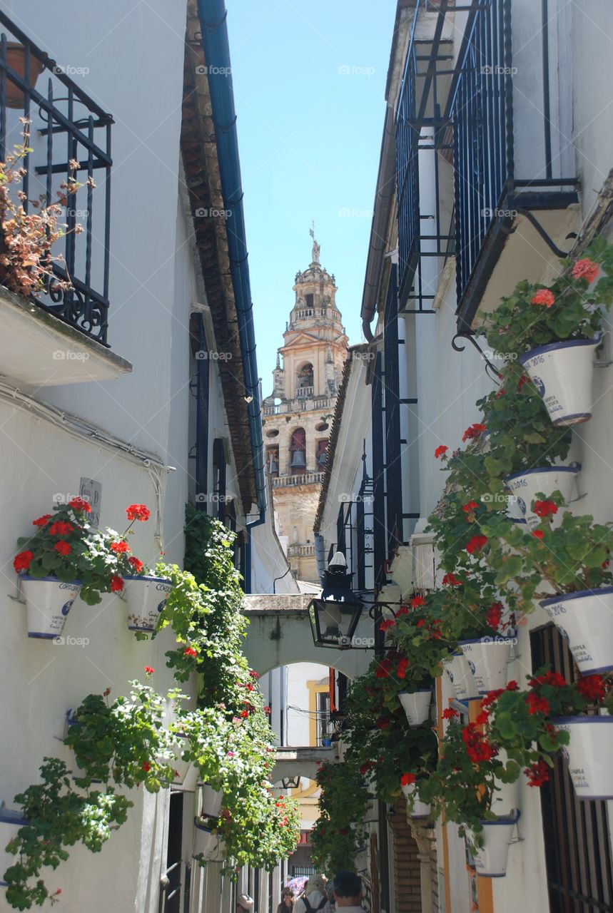 Andalusian alley 