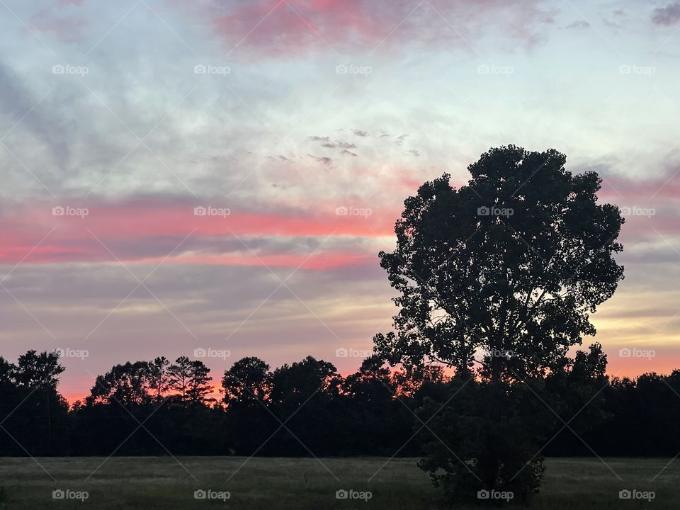 Headed into the night 