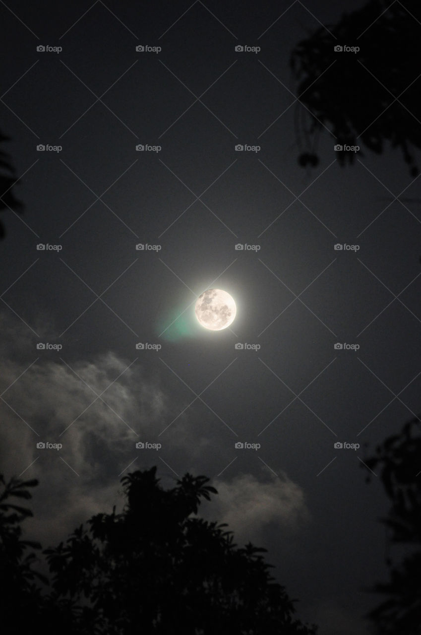 The full moon that lights up the night whole sky