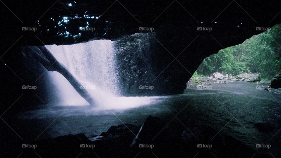 Springbrook glow worms at midnight 