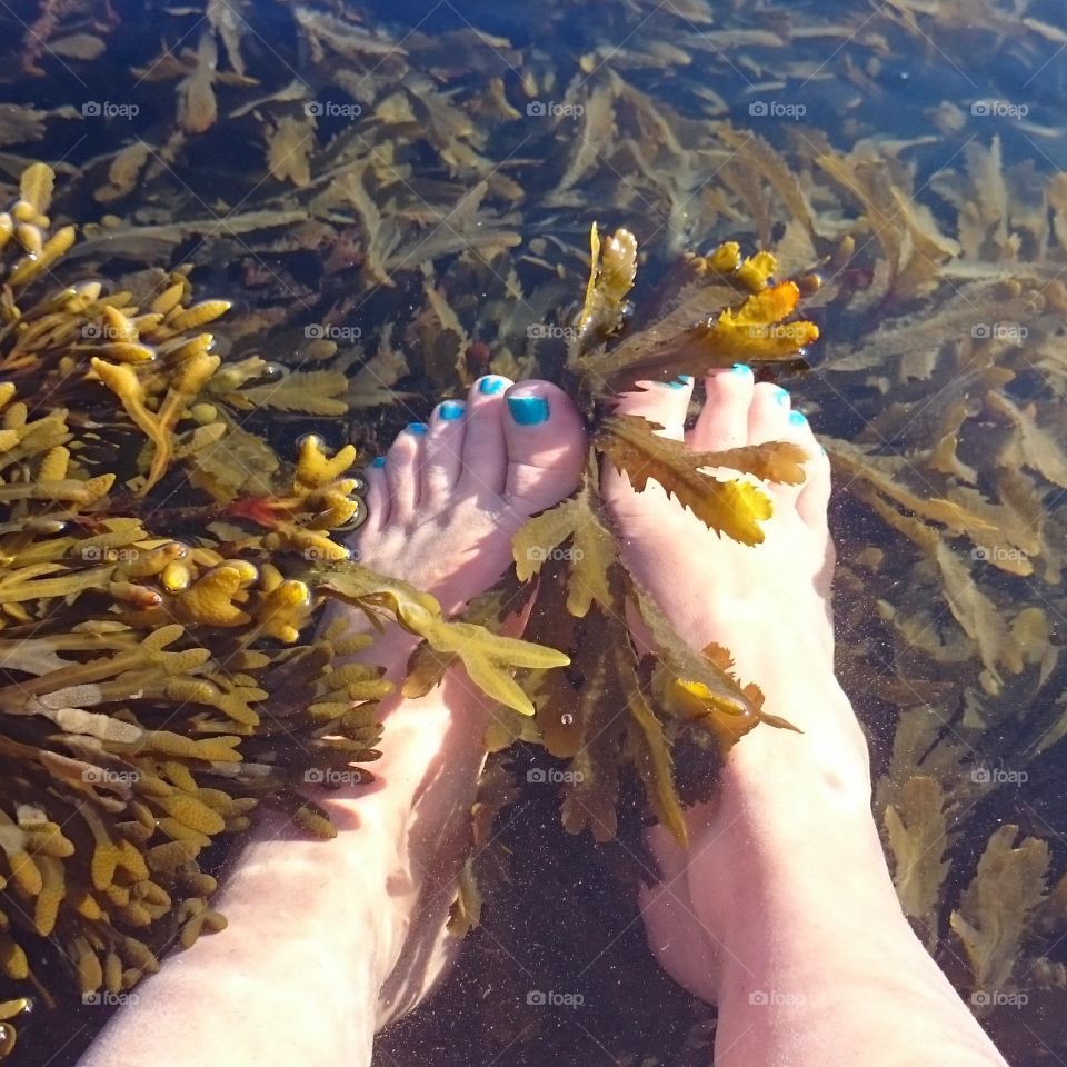 foot bath in seaweed