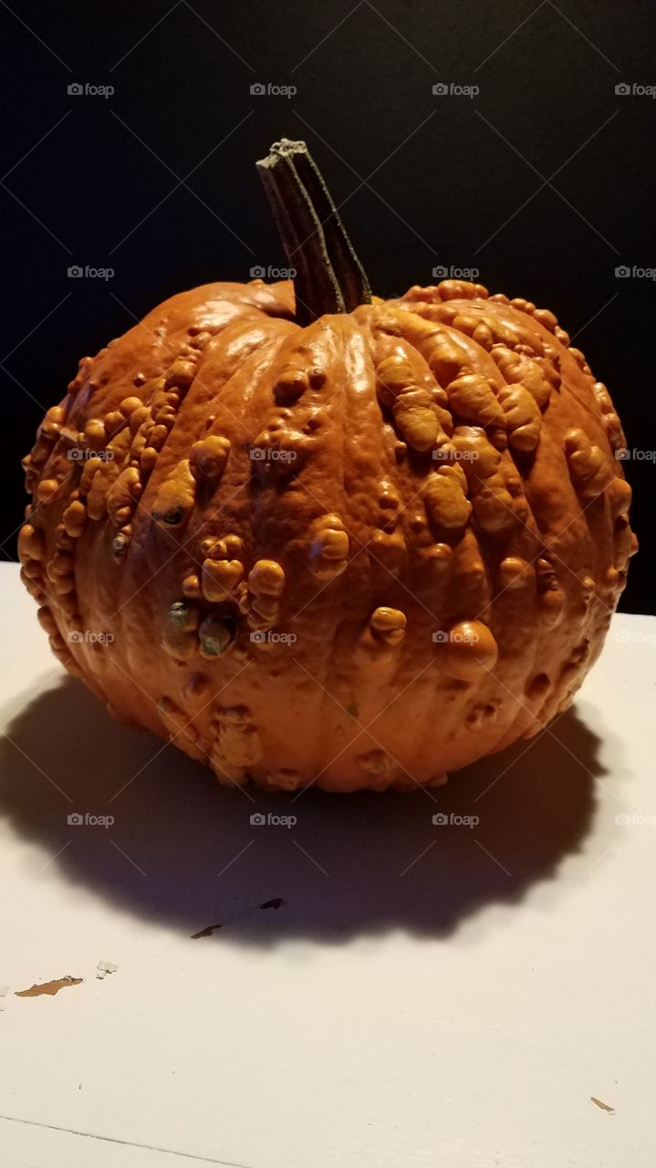 Big Warty Pumpkin