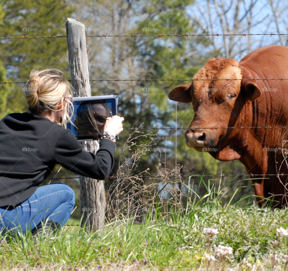 pasture photography ipad farm by lightanddrawing