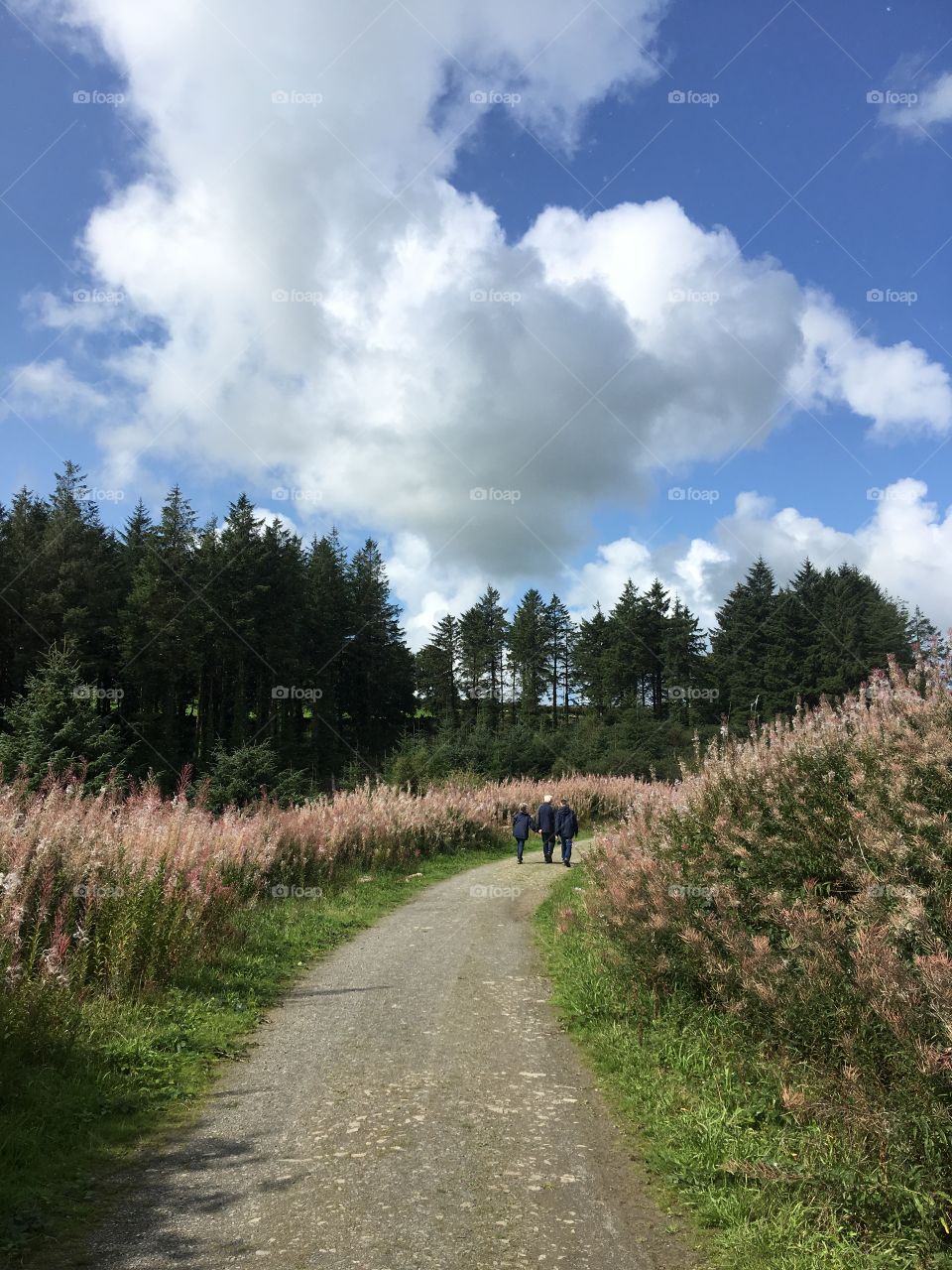 Whistland pound reservoir, Exmoor, North Devon. England. People walking - Low perspective on a summer day.