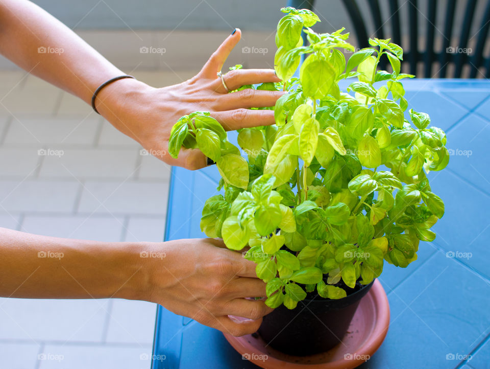 Women caring the plant