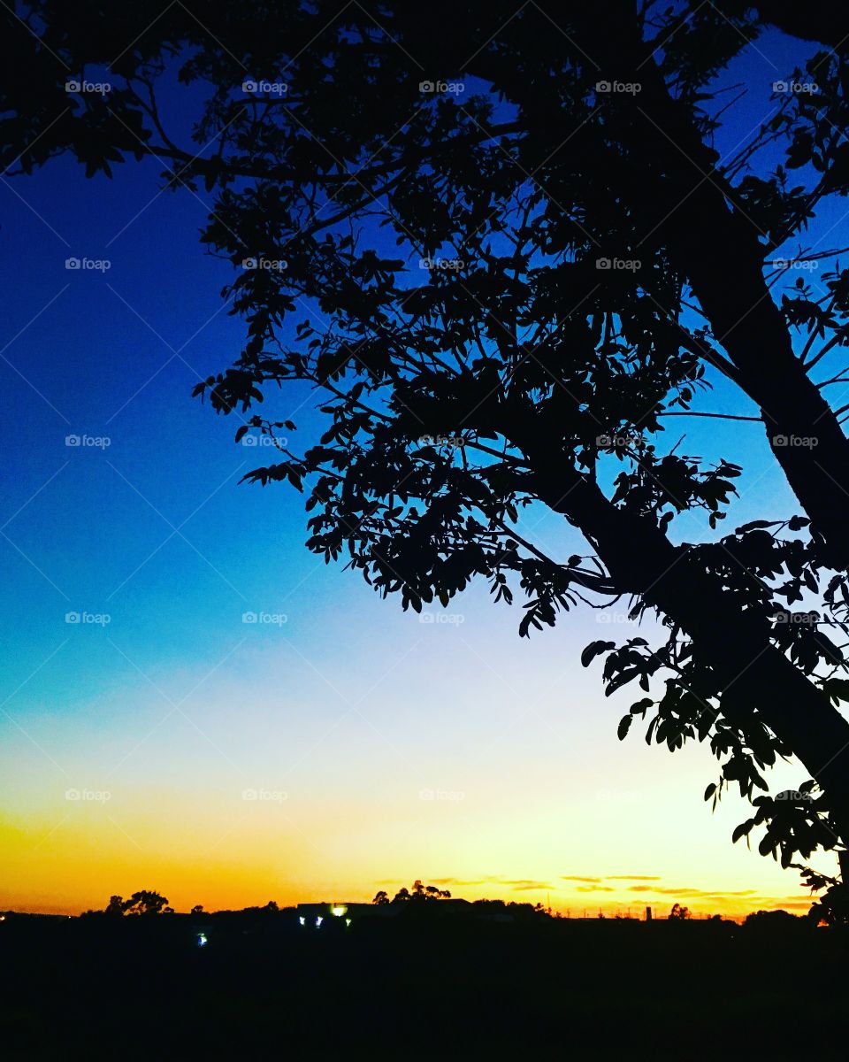 🌅Desperte, #Jundiaí. 
Que a jornada diária possa valer a pena!
🍃
#sol #sun #sky #céu #photo #nature #morning #alvorada #natureza #horizonte #fotografia #pictureoftheday #paisagem #inspiração #amanhecer #mobgraphy #mobgrafia #AmoJundiaí