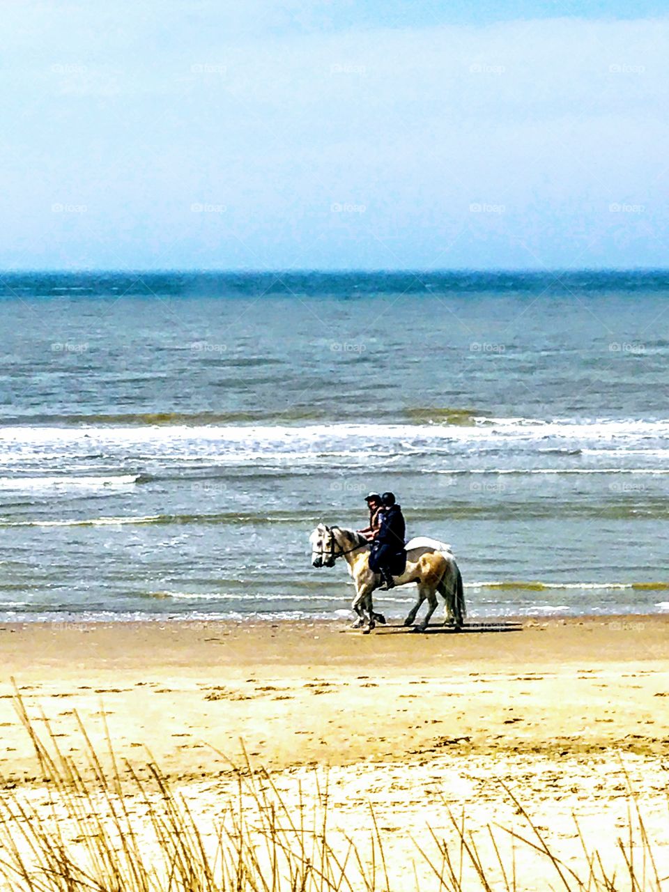 Horseback riding at the beach