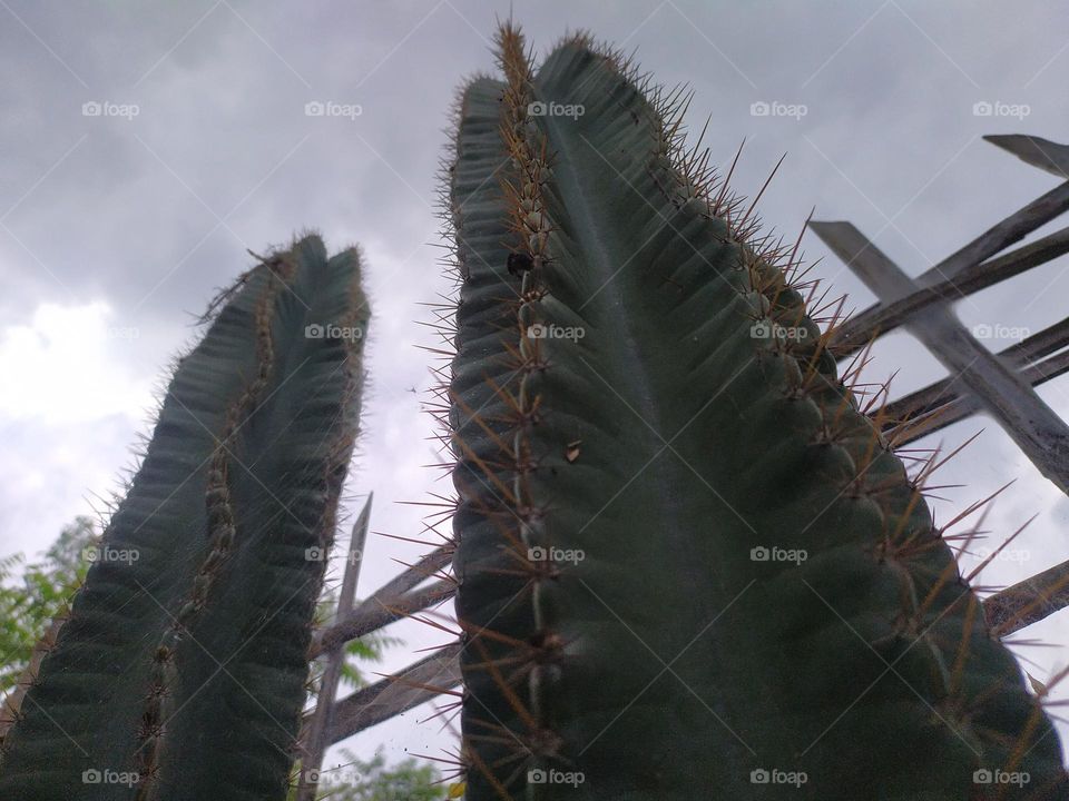 keep away from me be safe be alert i can save myself