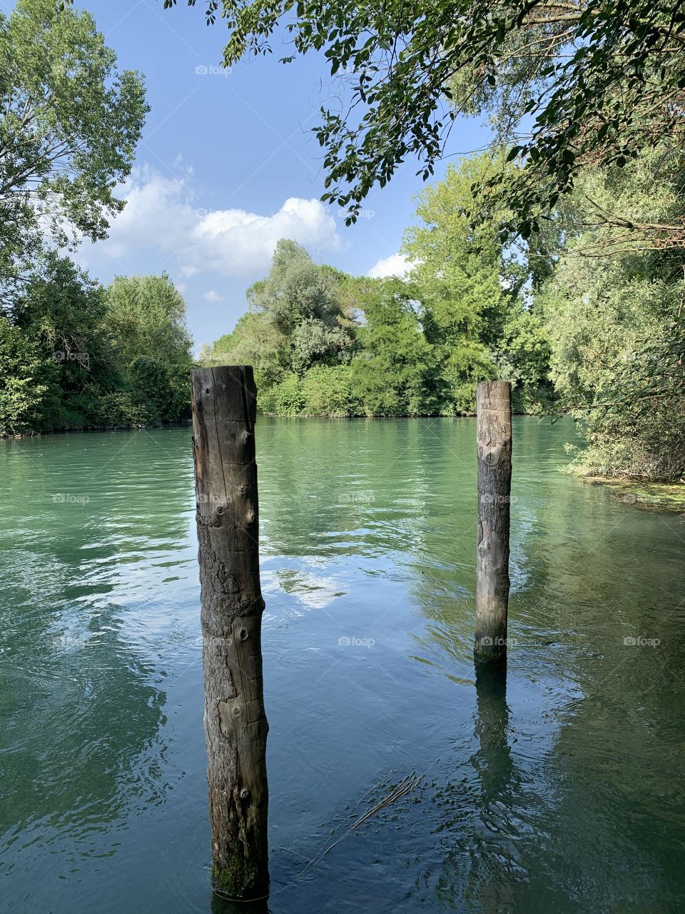 The placid flow of the spring river Sile in the stretch between Casier and Casale sul Sile in the Venetian countryside.