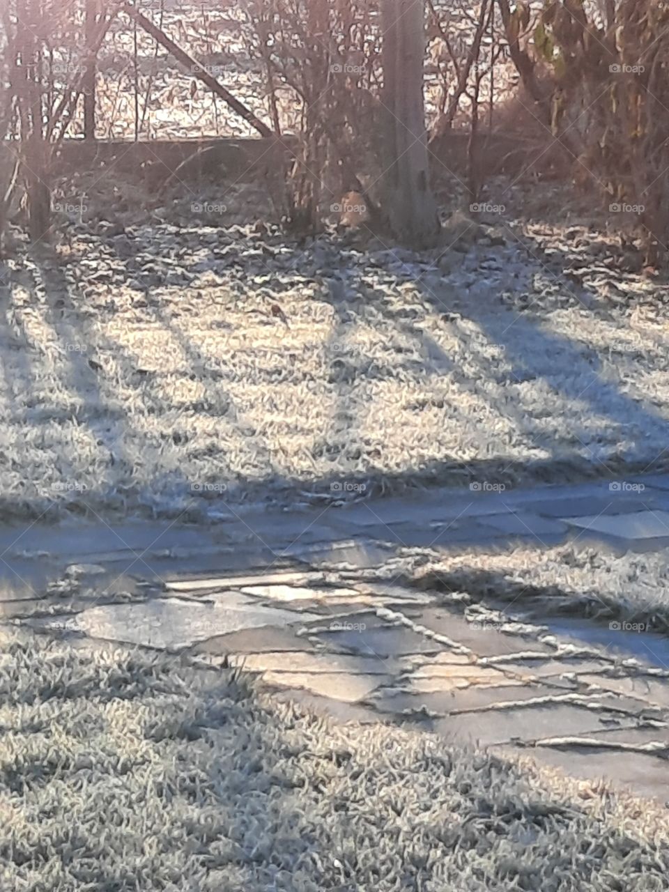 long shadaws in the morning  after night frost