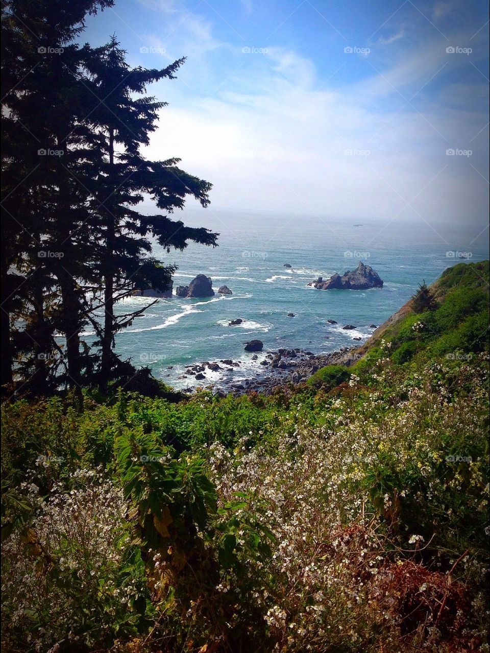 Northern California coastline