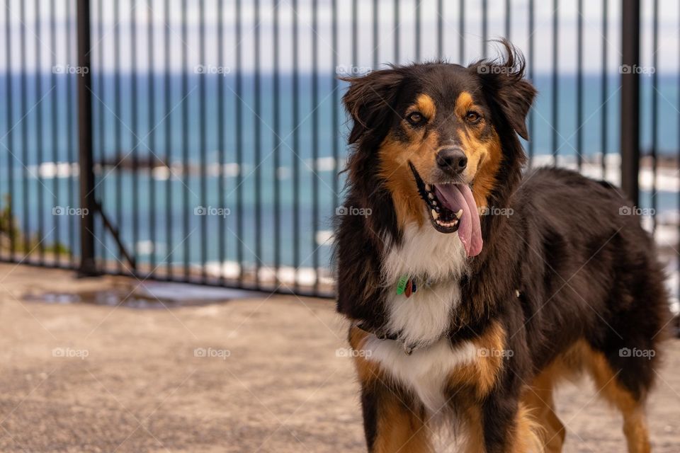 Love the cute one🥰😍


Follow for more