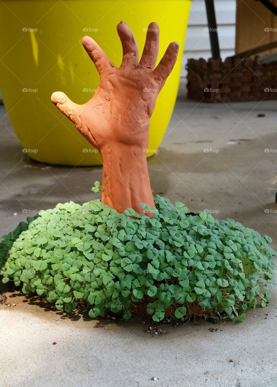 zombie hand chia planter