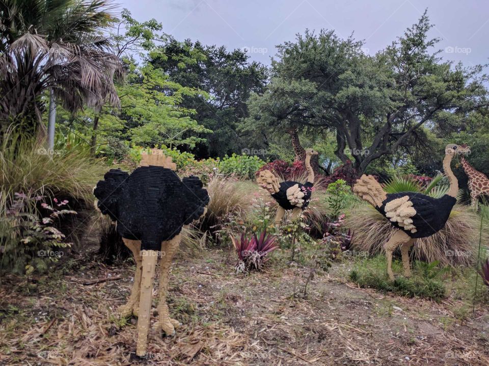 Lego ostrich