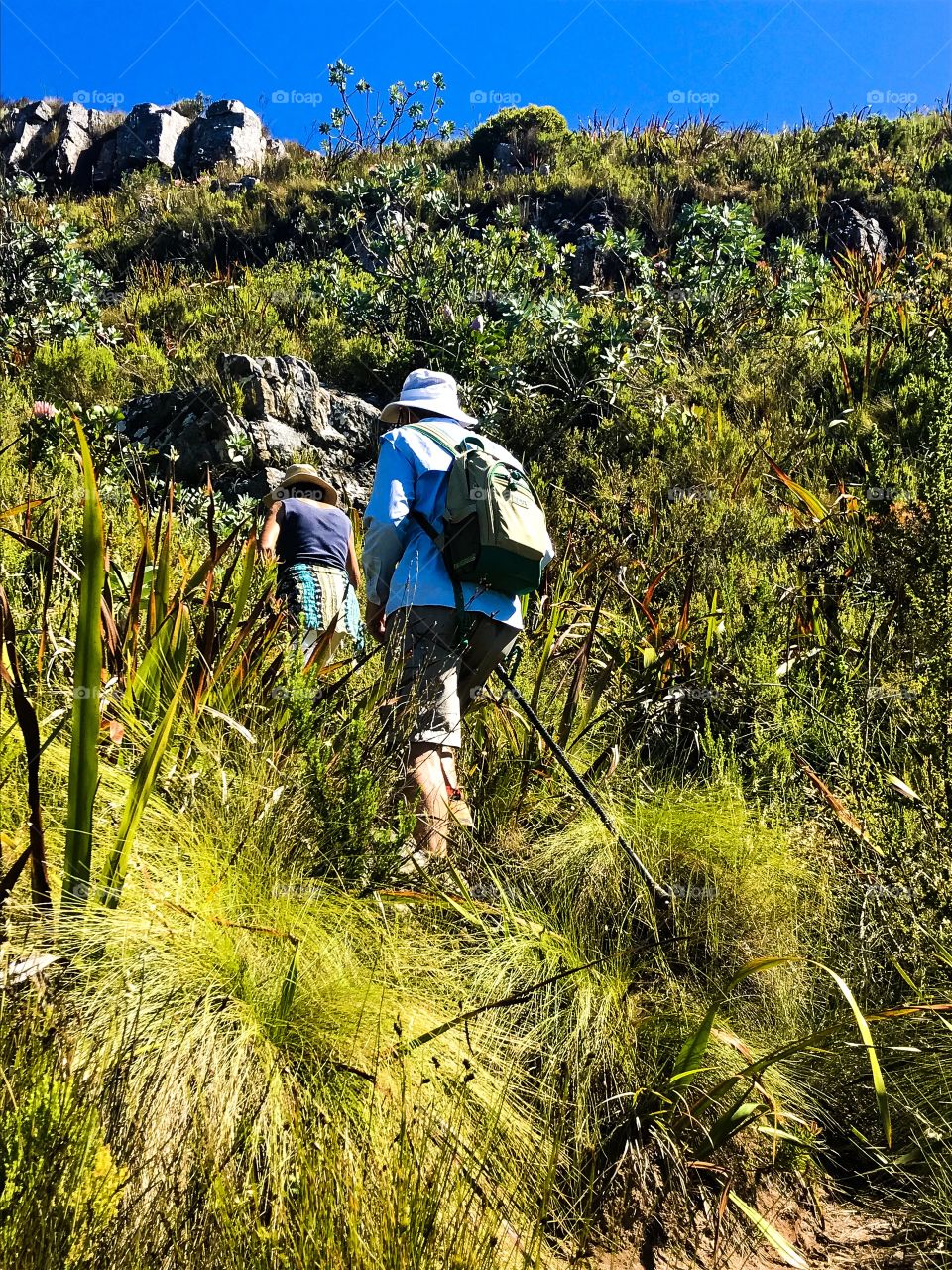 Memories of summer. Hiking is one of the most rewarding hobbies one can take up in summer