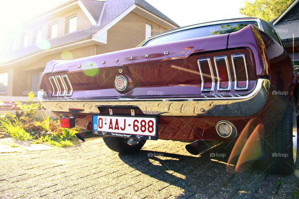 sunset oldtimer mustang