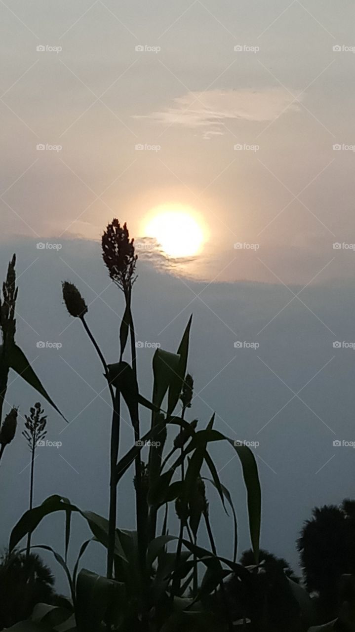 this is evening click and very nature