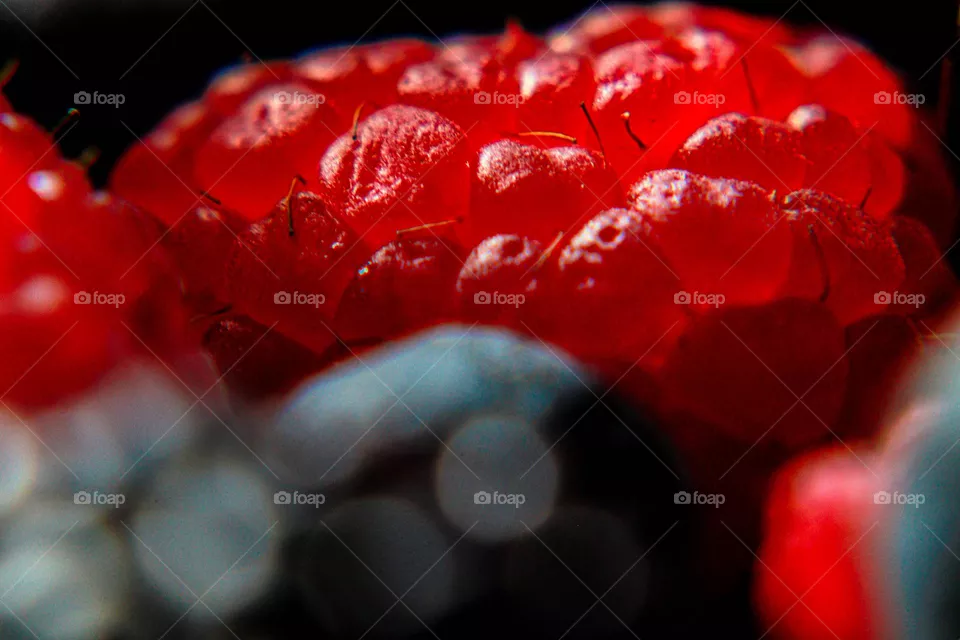 raspberry up close