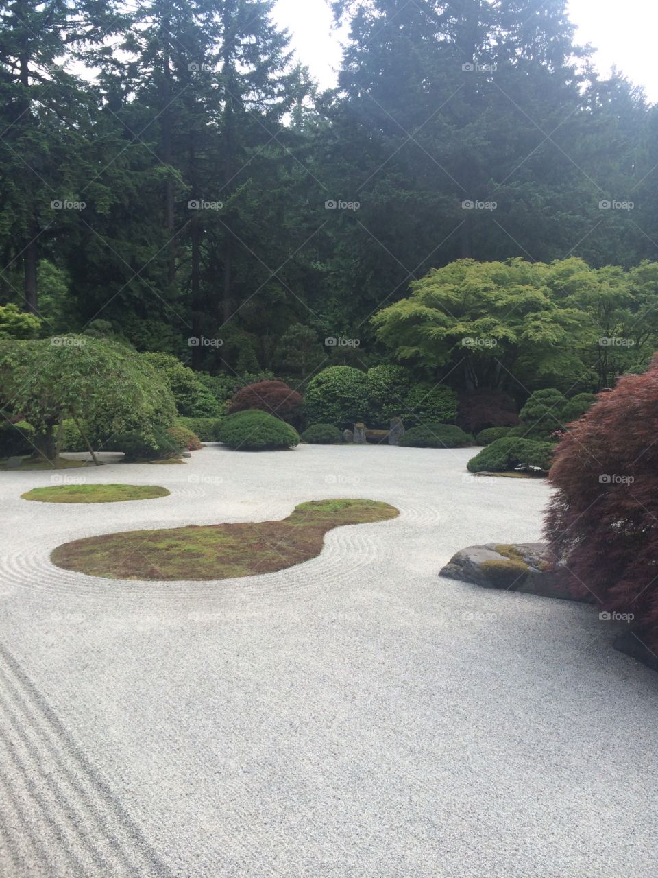 Zen garden 