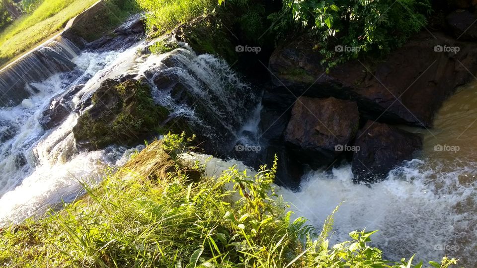 Rising from an Amazon river