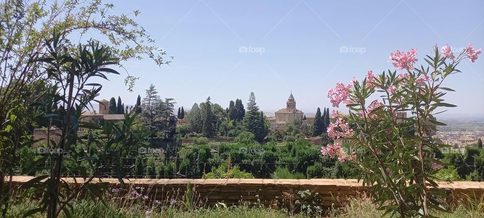 Vistas desde Alhambra