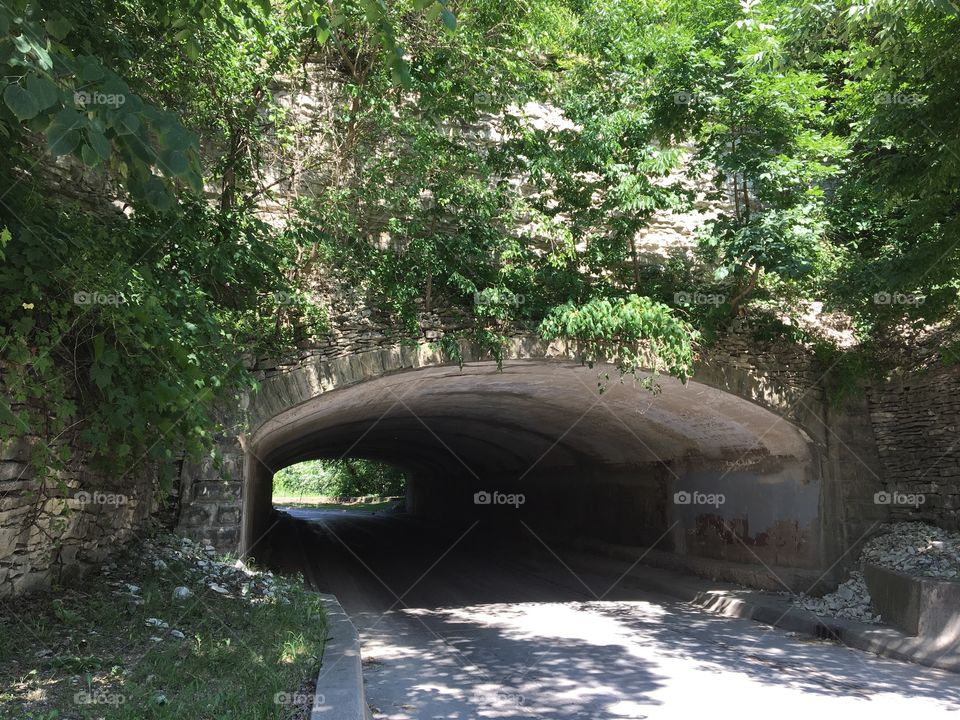 Tunnel Bridge 