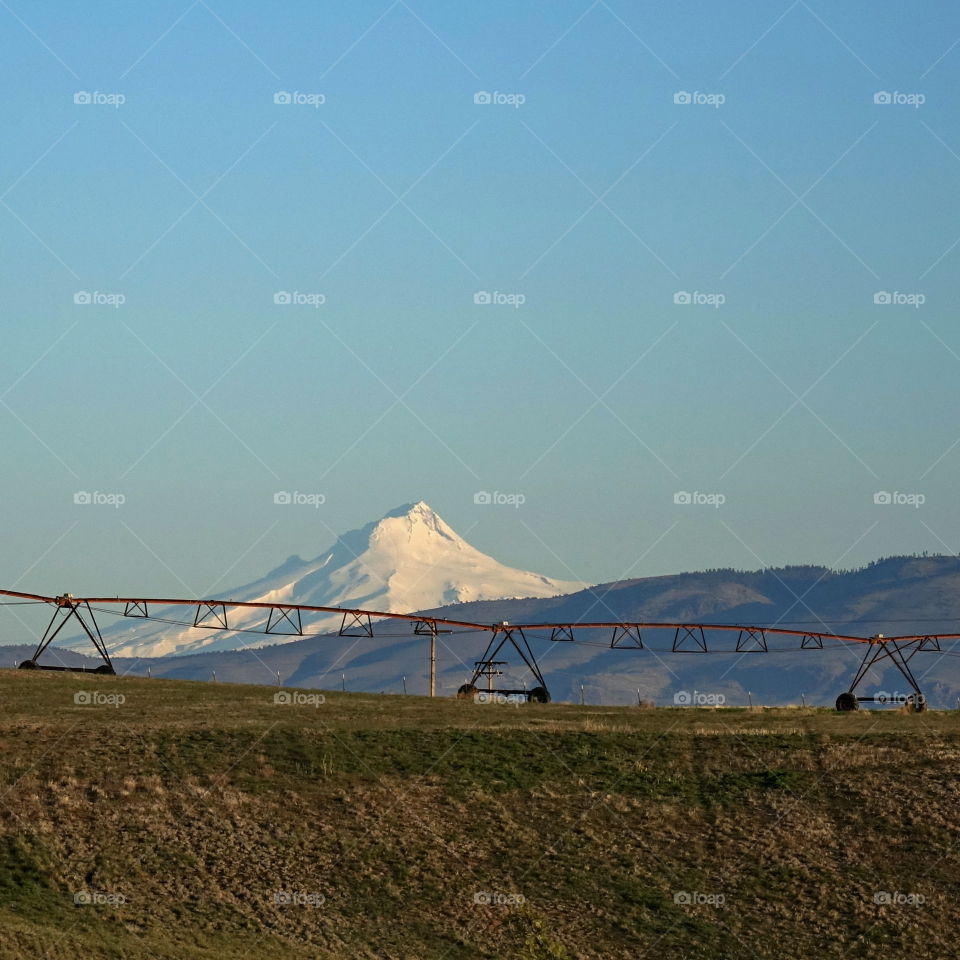 Mt. Jefferson in Oregon's Cascade Mountains overlooking hilly farmland with a wheel pipeline for irrigation in Central Oregon on a sunny spring morning. 