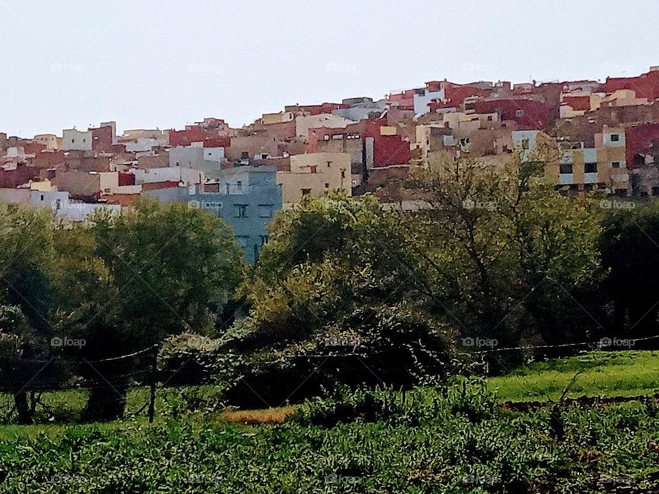 Population between the nature