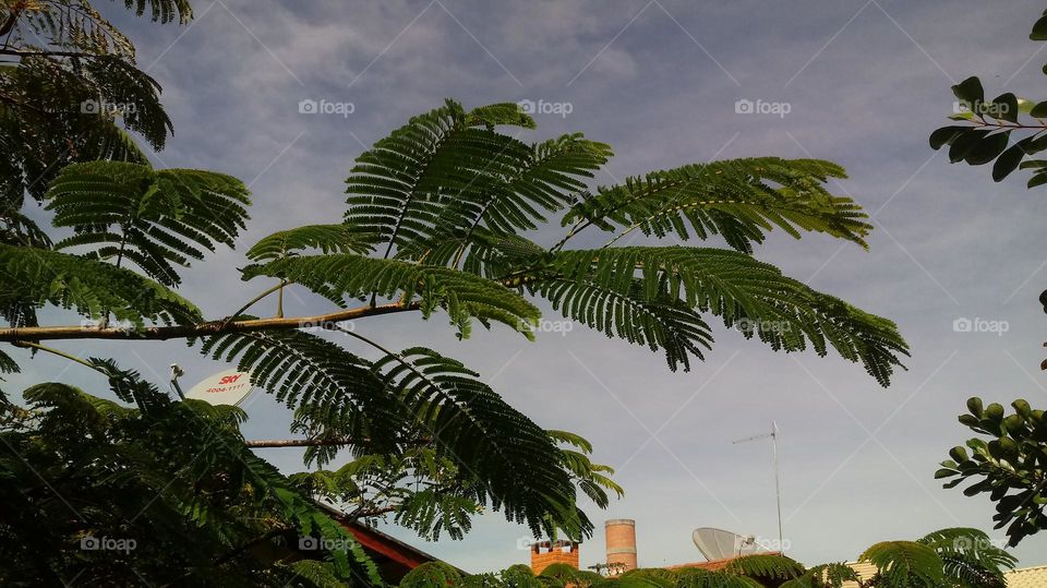 🌞Bom Dia!🇧🇷
🌞Guten Morgen!🇩🇪
 🌞Good Morning!🇺🇸
🇮🇱בוקר טוב!🌞
🌞Buongiorno!🇮🇹
🌞Günaydın!🇹🇷
🌞Chào buổi sáng!🇻🇳
🌞Xruṇ s̄wạs̄di̒!🇹🇭